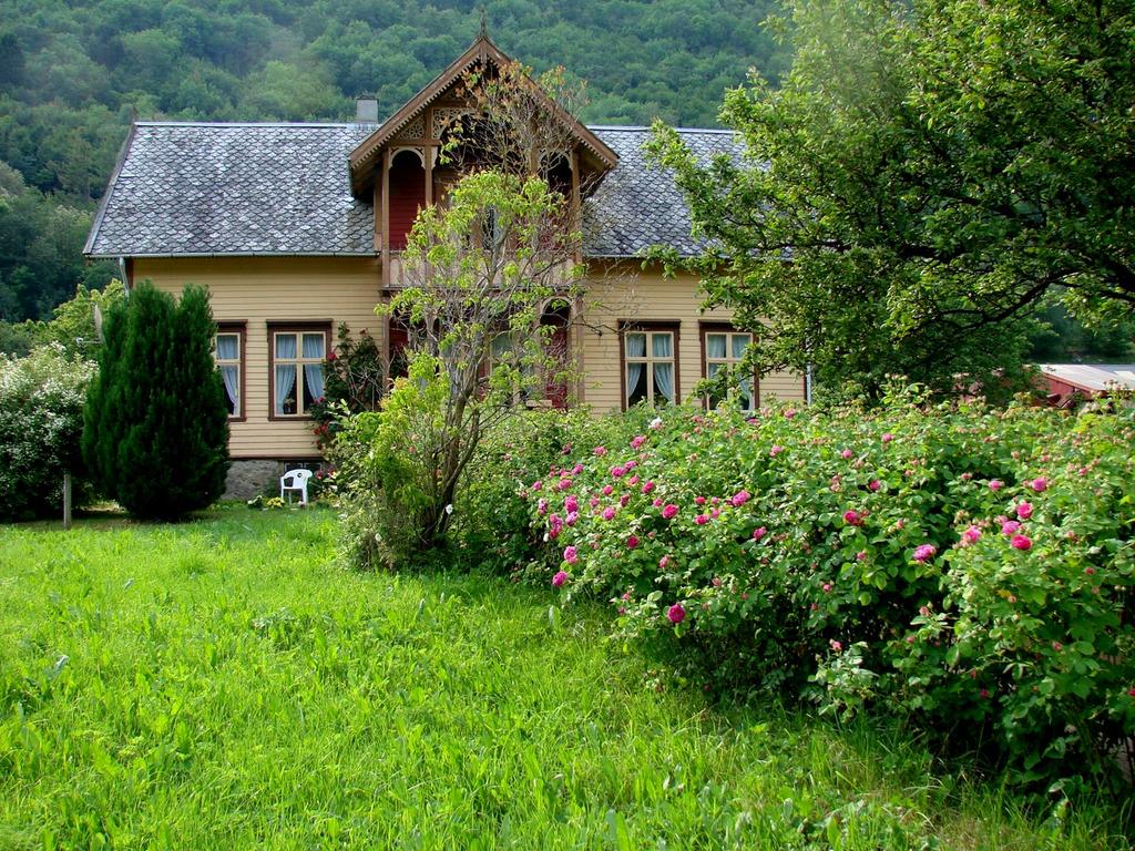 Genetisk variasjon i norske hitteroser/kulturminneroser fylogeni og innførselshistorie Per Harald Salvesen Arboretet og De botaniske hager, Universitetet i Bergen Eva Vike Institutt for