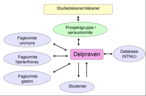 Bakgrunn og redegjørelse for tiltaket. Nasjonale eksamener eller prøver er innført i en rekke land i medisin og andre profesjonsfag.