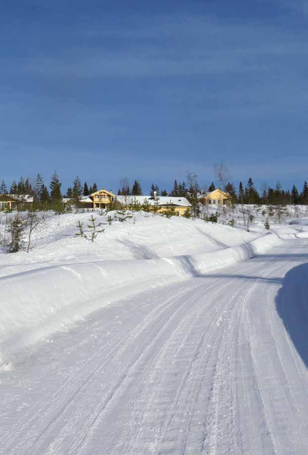 Årsberetning og