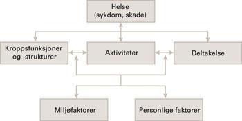 INTERNASJONAL KLASSIFIKASJON AV FUNKSJON, FUNKSJONSHEMMING OG HELSE Verdens helseorganisasjon (WHO) utarbeidet i 2001 en internasjonal klassifikasjon av funksjon, funksjonsnedsettelse og helse (ICF).