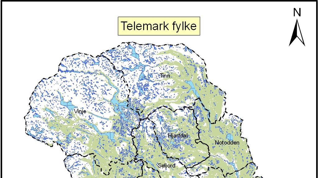 Bakgrunn og sammendrag I forbindelse med Skien kommunes kommunedelplan for Borgestad - Menstad, ble det gjennomført en arkeologisk registrering av deler av området som blir berørt av planen.