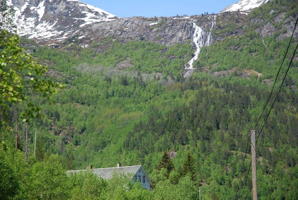 Figur 159 Fossestrykene i Bakkedøla på høy vannføring, sett fra dalen i dagens situasjon.