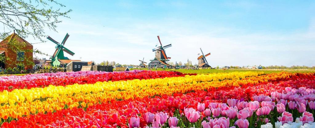 4 PROGRAM Vær oppmerksom på at dette programmet er veiledende og endringer kan forekomme. DAG 1: ANKOMST AMSTERDAM - BLOMSTERPARKEN KEUKENHOF (M) Ankomst Amsterdam og transport til Haag.