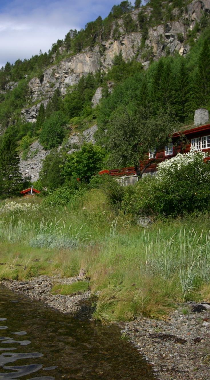 Varghiet Skoger på Fosen, Trøndelag 52.