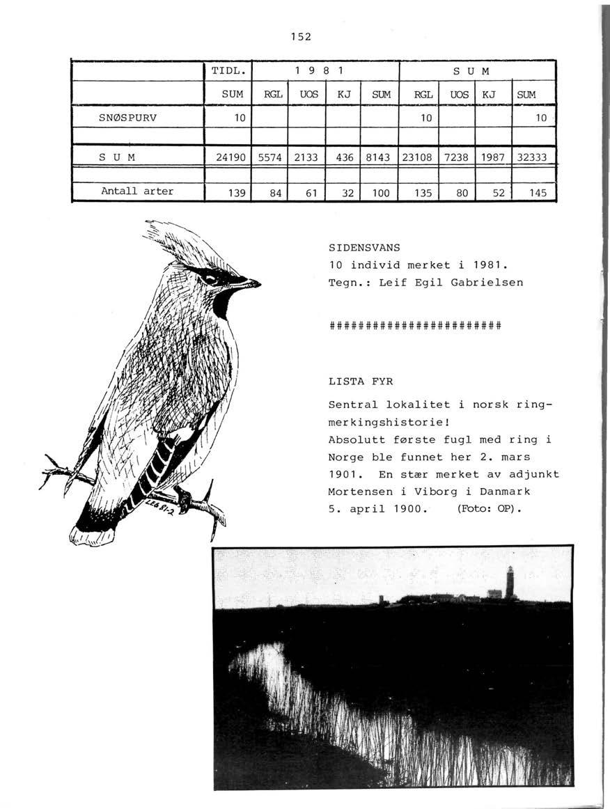 152 TIDL. SUM SNØSPURV 10 RGL 1 9 8 1 s u M u os KJ SUM RGL u os KJ SUM 10 10 S U M 24190 5574 2133 436 8143 23108 7238 1987 32333 Antall arter 139 84 61 32 100 135 80 52.