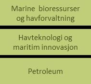 Det bør skje en styrket satsing på utvalgte områder med stort verdiskapingspotensial og hvor Norge har komparative fortinn.