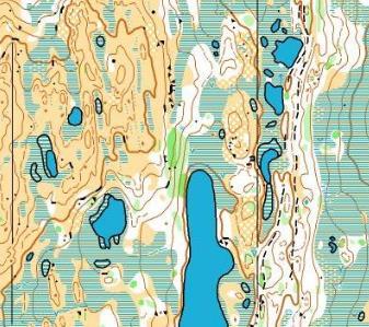 og løp 2, torsdag 29. juni. Kart «Reinlia», utgitt 2008, synfart av Kristen Treekrem. Målestokk 1:7 500 / 1:10 000, ekvidistanse 5 m.