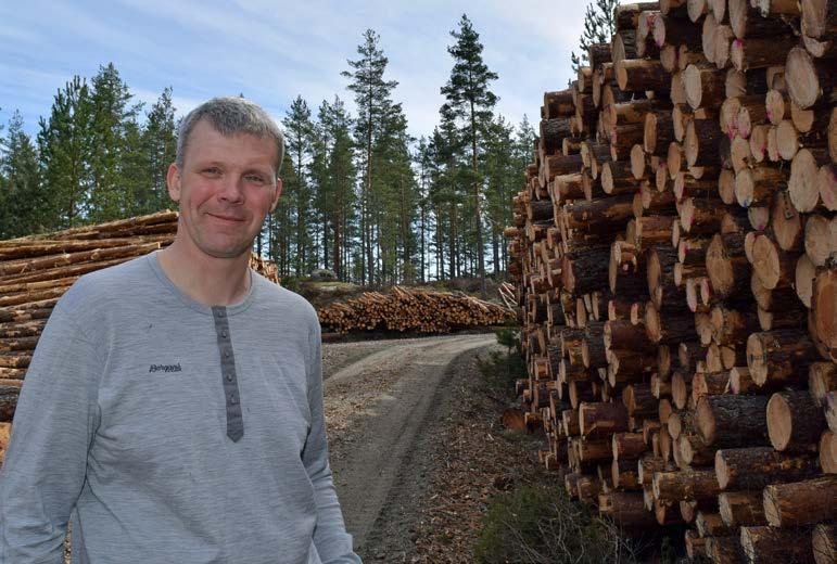 Kostnaden med BEDRESKOG-avtalen er tjent inn på et øyeblikk BEDRESKOG vil passe for mange skogeiere. Denne avtalen er tjent inn på et øyeblikk.