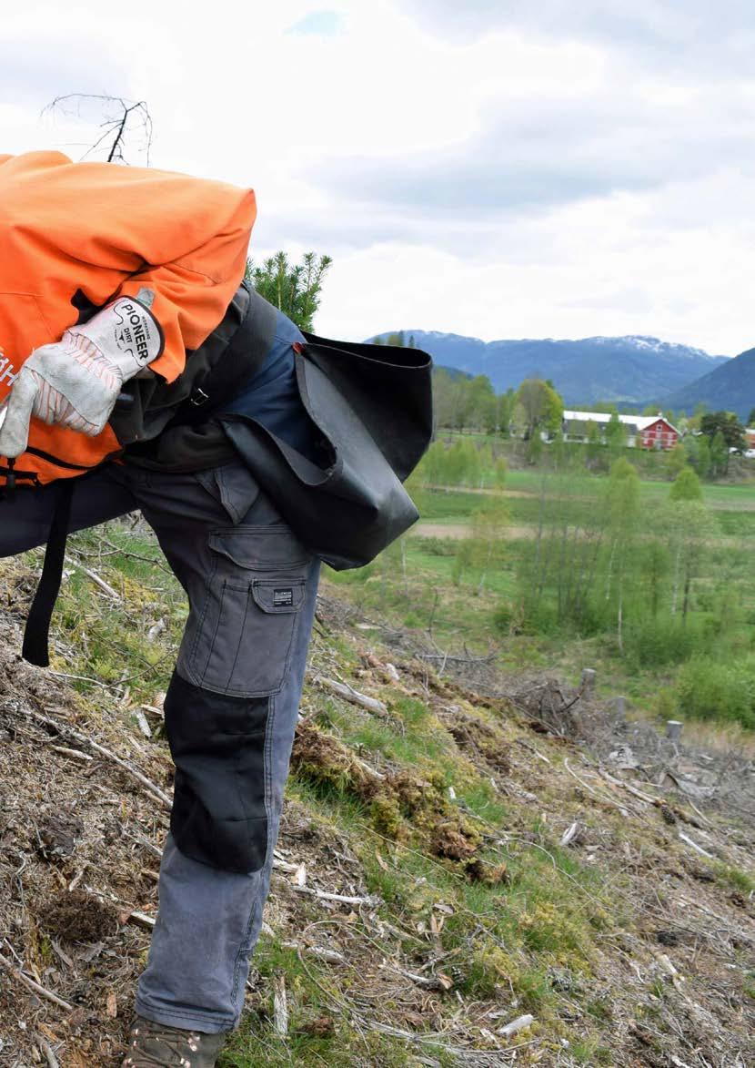 BEDRESKOG Som bruker av tjenesten BEDRESKOG betaler du et månedlig beløp for å få en rekke fordeler som er skreddersydd for deg som skogeier.