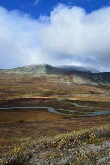 Status for naturrestaureringsprosjektet v/