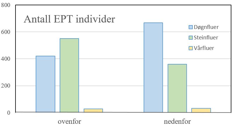 BUNNDYR DALTVEITELVA For å vurdere biologisk mangfold i forhold til bunndyr i elver, er antall individer og antall taksa i de de to ulike prøvene fra Daltveitelva presentert i figur 6 og tabell 6.