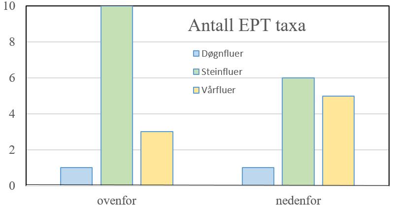 Typene bunndyr funnet ved «ovenfor» i Daltveitelva tilsier noe bedre enn «nedenfor», med en litt lavere ASPT-indeks.