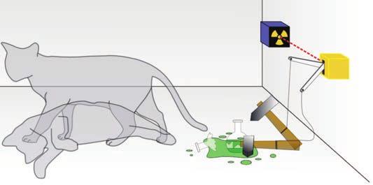 Kan ein katt eigentleg vera både død og levande? I Viten-programmet «Kvantefysikk» får elevane diskutere spørsmål frå fysikken som det ikkje alltid finns enkle fasitsvar på.