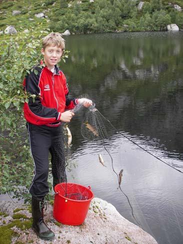 Iverksatte tiltak Støletjørn: Vannet ble prøvefisket i 1987. Det ble ikke fanget fisk, men funnet en selvdød aure (Enge 1988). I Øyestølsloni ble det fanget to 13 år gamle aurer.