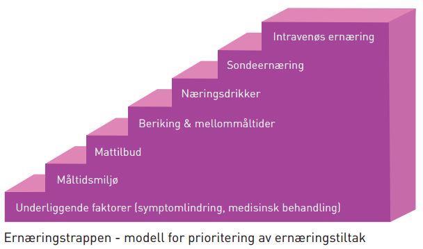 Tiltak 3 ERNÆRINGSPLAN diagnose/aktuell problemstilling faktorer som påvirker matinntaket