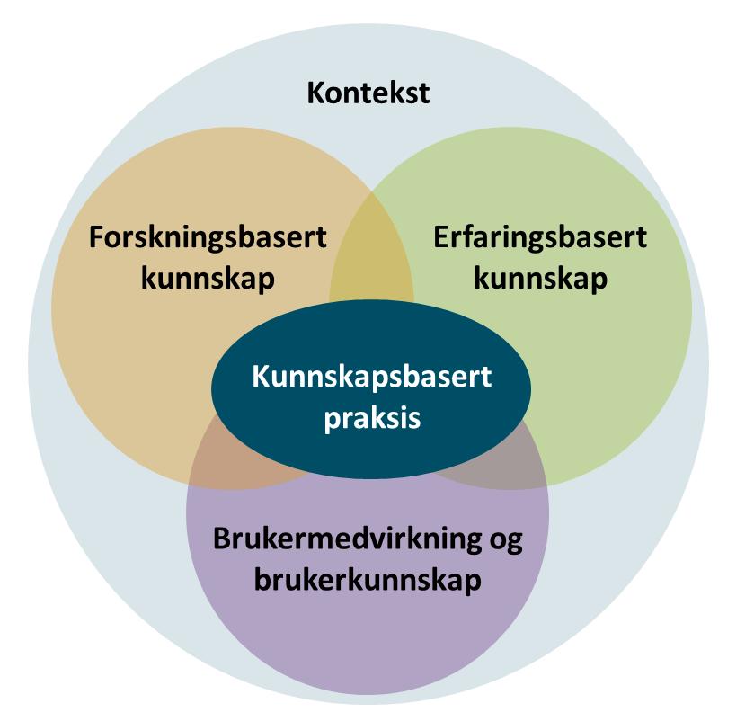 Kunnskapsbasert praksis Brukerkunnskap og brukermedvirkning Erfaringsbasert kunnskap Forskningsbasert