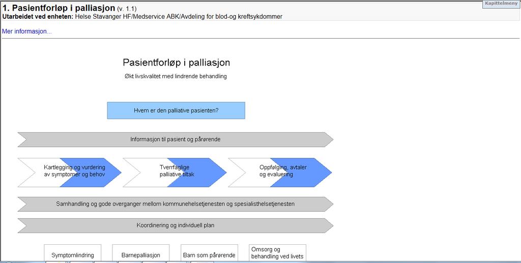 Pasientforløp i palliasjon