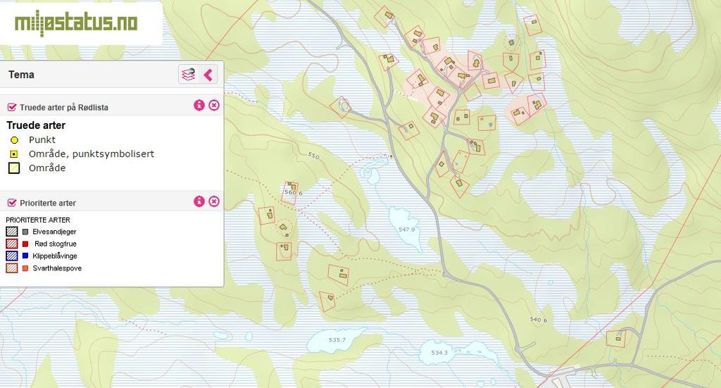 Markslagskartet viser at området har begrensede skogressurser. Boniteten er hovedsakelig lav eller uproduktiv, med innslag av noen mindre områder av middels bonitet. 5.4 Naturverdier Miljøstatus.