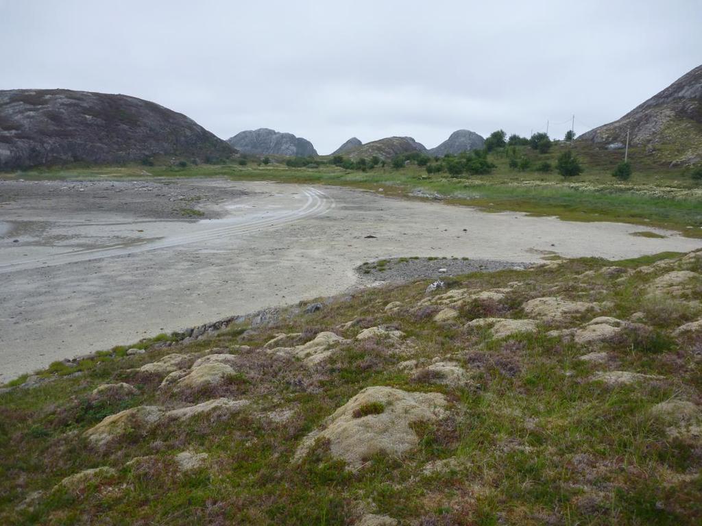 4.3.5 Semi-naturlig strandeng Figur 14. Semi-naturlig strandeng i Indre Øksningan, Nordland (Foto: A. Bär/NIBIO).