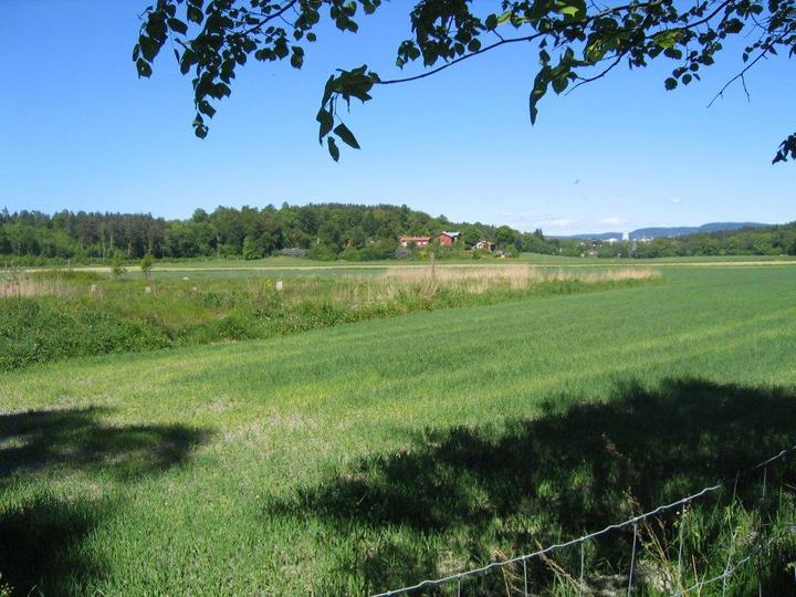 Hengsåsen ligger nord på Bygdøy med utsikt mot Bestumkilen.