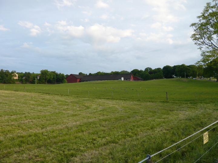 Boligmiljøet på den tidligere løkkeeiendommen Hengsengen midt i bildet.