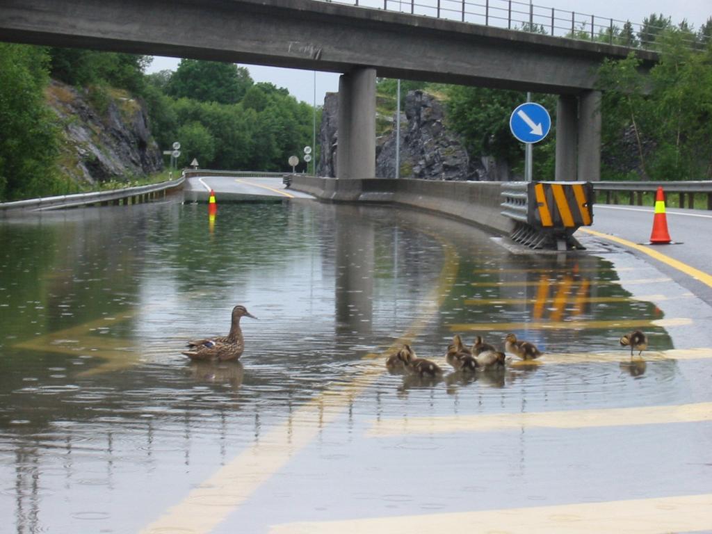 Husk: Vannet er vegens verste