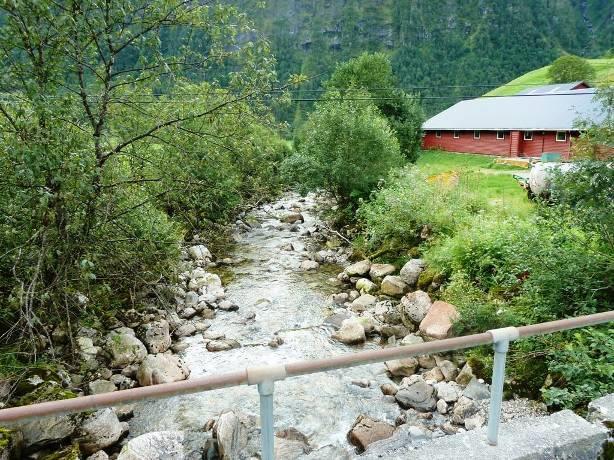 Middels til liten verdi for naturtyper, middels verdi for karplanter, moser og lav og middels verdi for fugl og pattedyr gir en samlet verdi på middels verdi for terrestrisk miljø.