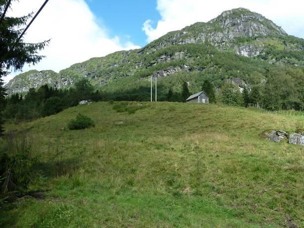 jord (brunt), innmarksbeite (lyst brunt) og skog av særs høy