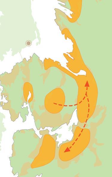 Bybanen til Fyllingsdalen Ny tverrforbindelse mellom Fyllingsdalen og Bergensdalen Avlaster sentrum for