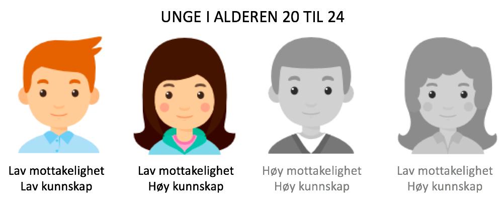 Valgdirektoratet oppgir i hovedmål 4 at deres kommunikasjonsstrategi er å informere ulike interessenter, og da prioritere enkelte velgergrupper som er underrepresentert ved valgurnene.