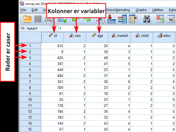 DATA VIEW