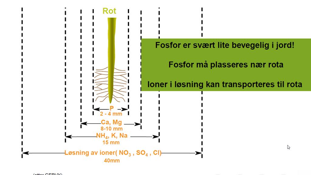 Næringsstoffets