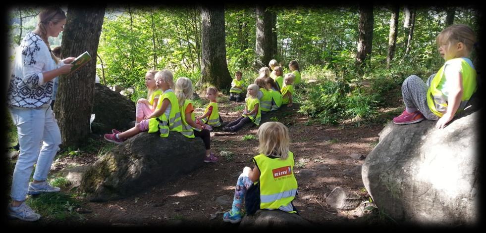 Organisering i barnehagen Barnehagen består av 3 avdelinger: Rocketroll, Lykketroll og Skogstroll Gruppene er delt inn etter alder.