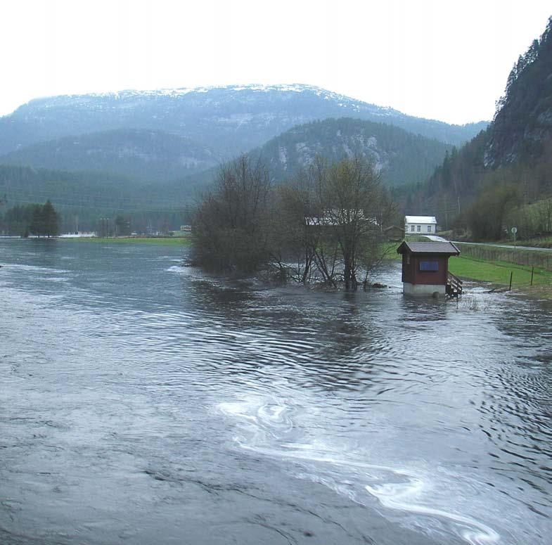 Flommen på Sør- og Østlandet våren 28