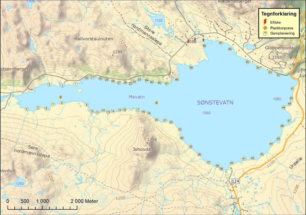 Side 8 av 23 4. Sønstevannmagasinet Kart 1: Sønstevannmagasinet med garnplassering, elfiske og planktonprøver 16. 18. september 2011.