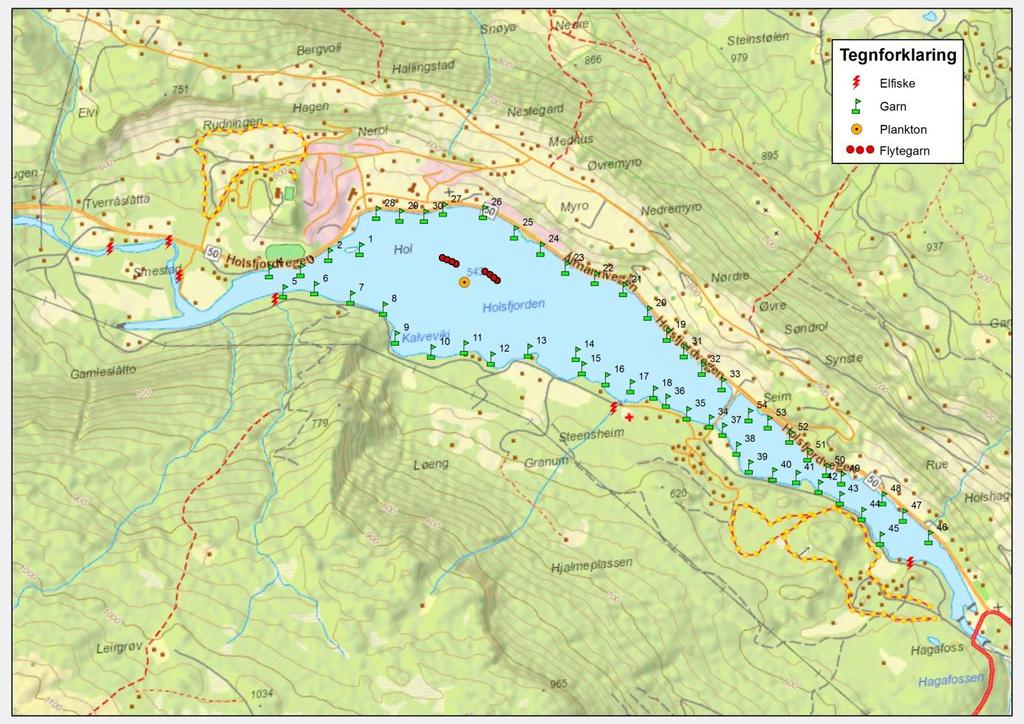 Side 8 av 26 Holsfjorden Kart 1: Holsfjorden med symboler for garnplassering, elfiske, plankton- og vannprøver. Holsfjorden i Hol kommune ble regulert etter tillatelse fra Kgl. Res av 4. juni 1948.