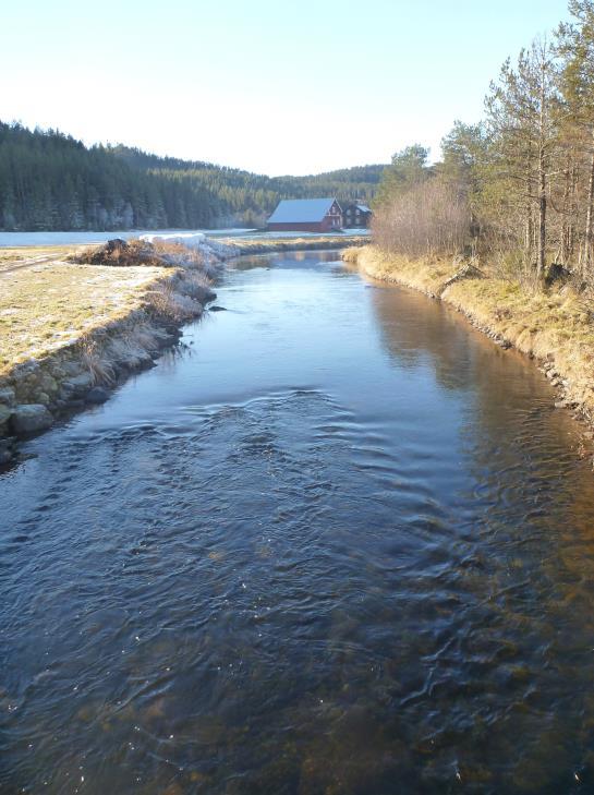 samløp Hallingdalselva.