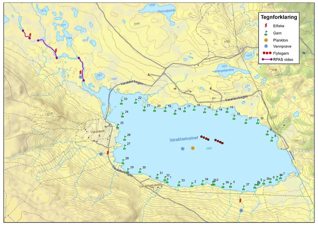 Side 8 av 28 Varaldsetvatnet Kart 1: Varaldsetvatnet med symboler for garnplassering, elfiske, plankton- og vannprøver. Strekninger som ble filmet med RPAS i hovedinnløp vises også.