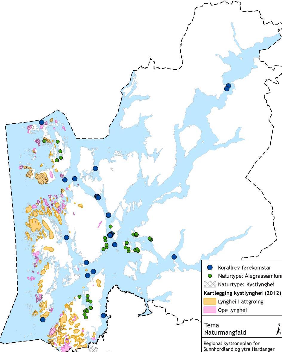 ga, utsatt for reduksjon, eller er sjeldne. Det er manglande kunnskap om det marine miljøet, og med eit stadig aukande press på kystområda, er det særs viktig å kartlegge naturtypar i sjø.