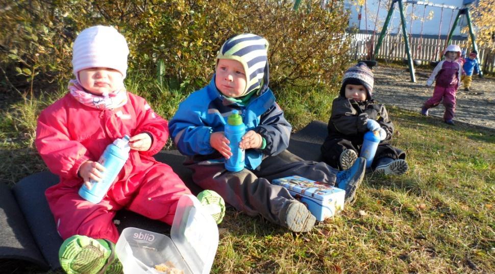 Tema: Vennskap/høsten og naturens skattekammer Mål: -Naturopplevelser, utelek og aktiviteter Arbeidsmetode: Turer i nærområdene, sansing, oppleve og erfare hva som