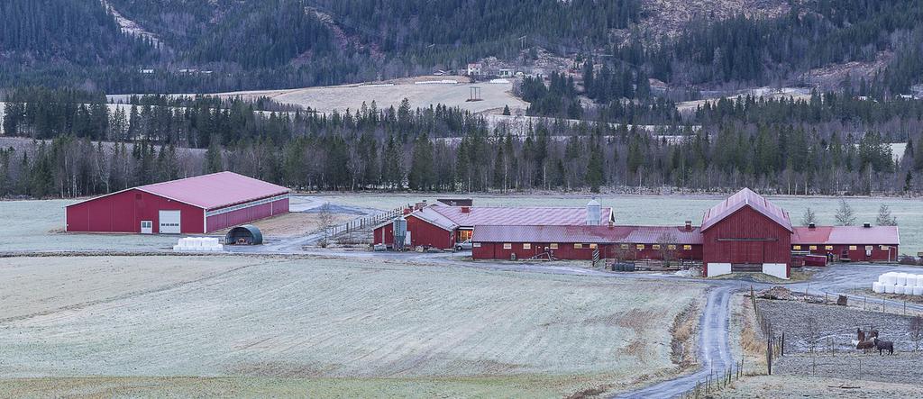 Studistd Maka HISTORIKK Fa vnst s vi: Gammlfjøsn, vkstd, banhag, intnatbygning, kantin og