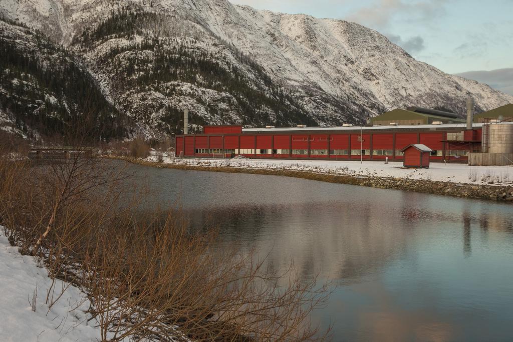 Altnativ Vvitomta + Næ tilknytning til byn Næt kultuhus og bibliotk, md mulight fo samabid Næt kommunal kultuskol, md mulight fo samabid Sto tomt, 37 mål Næt industiomåd, md mulight fo samabid Tomta