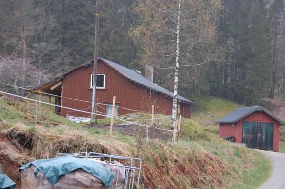 Liten Middels Stor Verdi: Stor Figur 4-26 Vestregården, Bjodland.