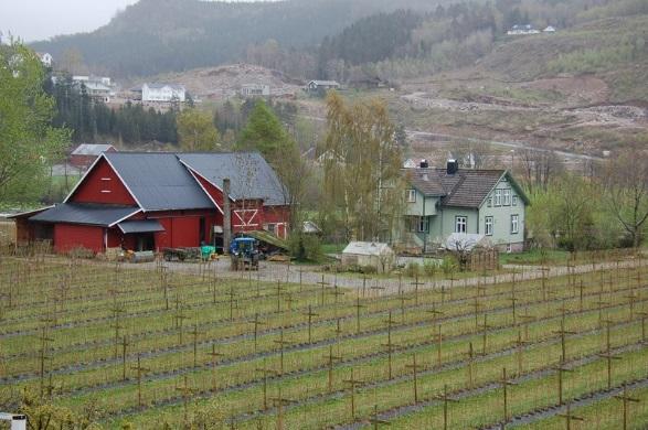 Rideveien opp gjennom Lyngdalen var dels en hulvei og dels en halvannen m bred sledevei som kunne kjøres med hest og slede på vinterføre.