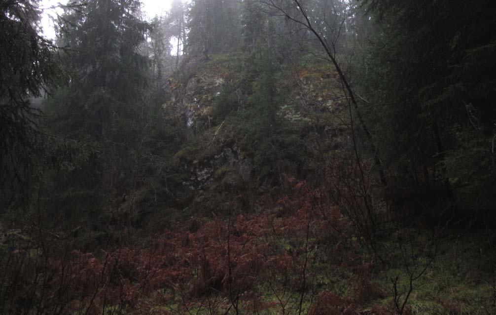 Figur 6: Østre påhugg til tunnel 1, sett mot sørvest. 3.2 Tunnel 2 Tunnel 2 blir om lag 275 meter lang og er orientert i østvestlig retning. Den er planlagt å gå gjennom den ca.