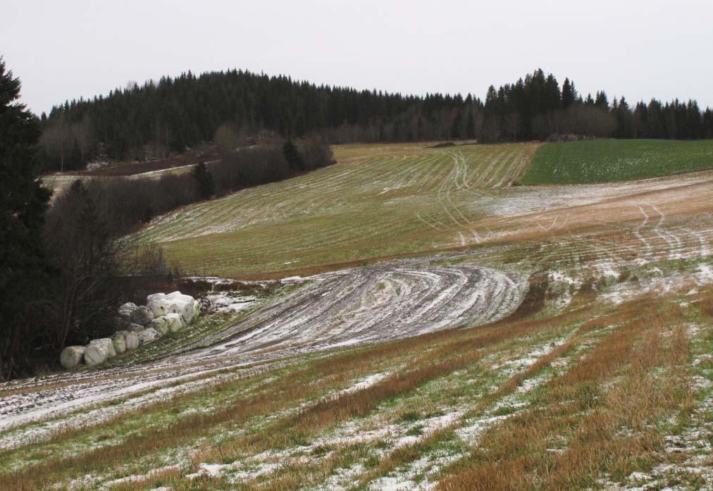 3.9 Tunnel 9 Tunnel 9 blir om lag 900 meter lang og er orientert i østvestlig retning. Den er planlagt å gå gjennom den åsen mellom Fosnes og Nord-Fosnes som er ca.