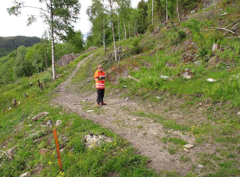 Figur 39: Gode påhuggsforhold ved søndre påhugg til tunnel 17,