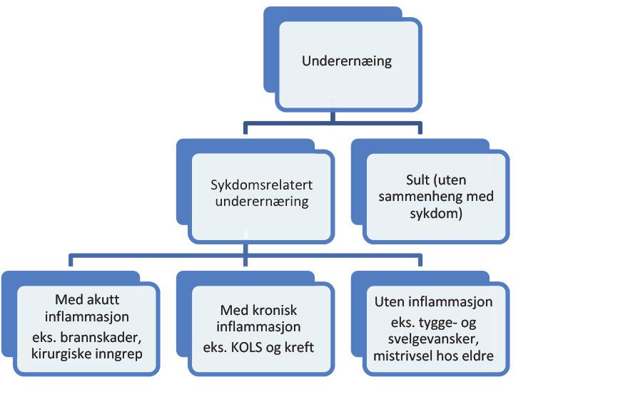 Riktig klassifisering av underernæring er viktig, fordi det er av betydning for både behandling og prognose (7, 8).