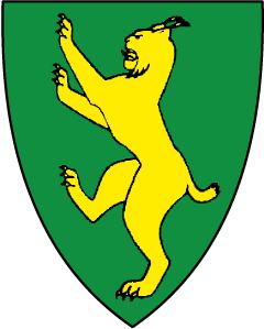 Bygland kommune Budsjett