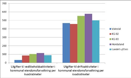 Det har dei seinare åra vore reduksjon både i kapasitet og i oppholdsdagar, dette følgjer trenden nasjonalt.